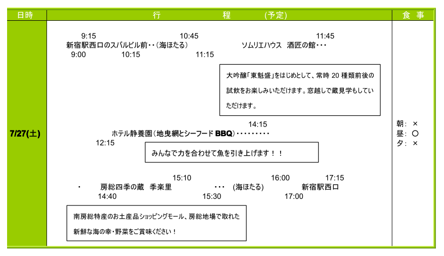 青年日夏のツアーチラシ