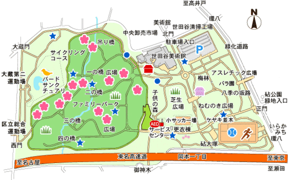 砧公園園内マップ